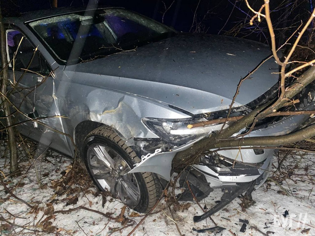 Біля Нововолинську водійка злетіла з дороги та врізалась в хащі (фото)