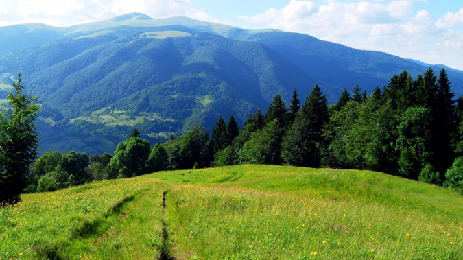В Україні створять три нові природні парки та розширять межі чинних