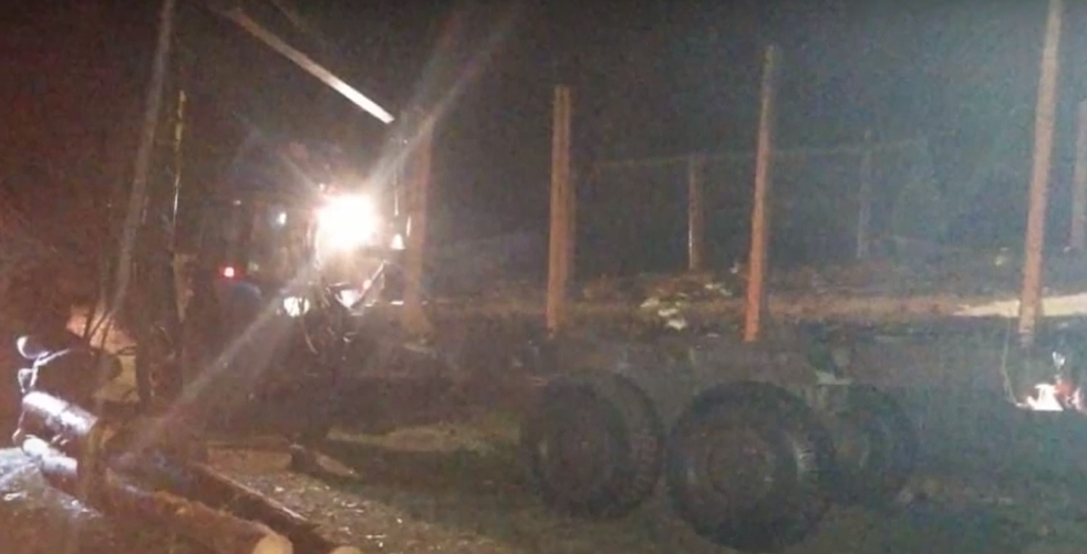 На Камінь-Каширщині затримали «чорних» лісорубів (відео)