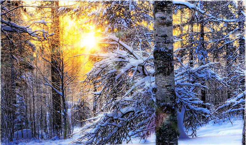 Сонце та -11°C..: погода в Луцьку на середу, 12 січня