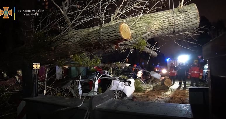 У Києві через сильний вітер дерево впало на авто – загинула людина (відео)