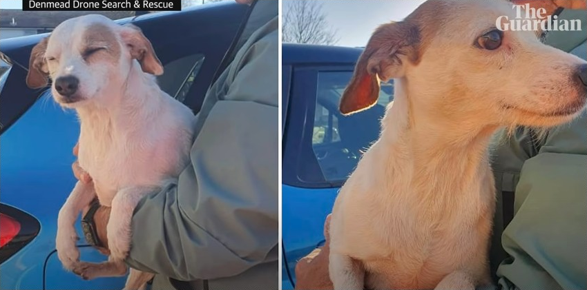 Британські рятувальники прикріпили сосиску до дрона, щоб врятувати життя собаки (відео)