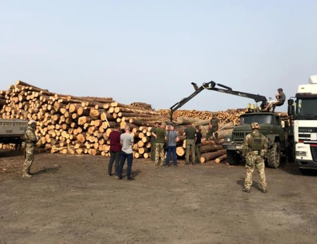 На Волині лісопереробник зберігав 4000 незаконно зрубаних дерев (фото, відео)