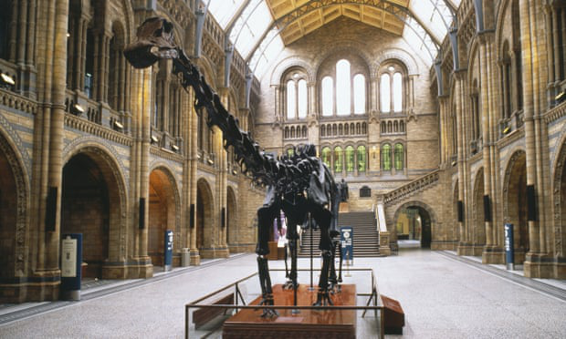 Науковці виявили симптоми ГРВІ ​​у динозавра, який жив 150 мільйонів років тому