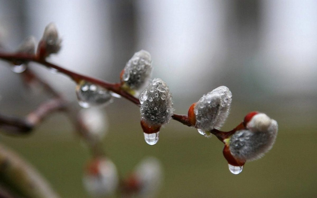 Тепло і без опадів: погода в Луцьку на вівторок, 15 лютого