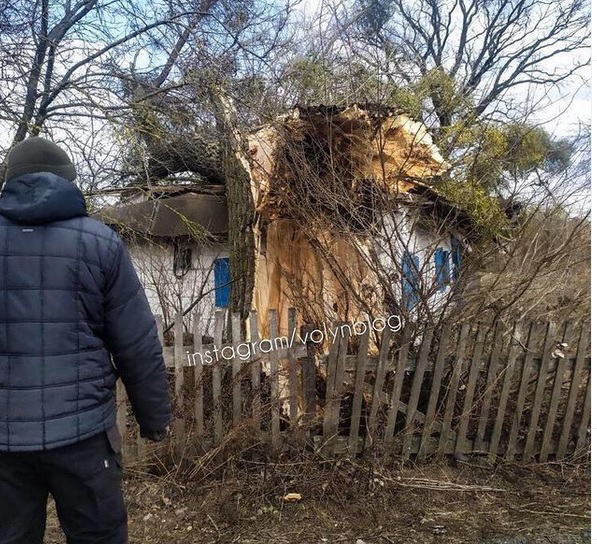 У селі на Волині величезне дерево впало на житловий будинок (фото)
