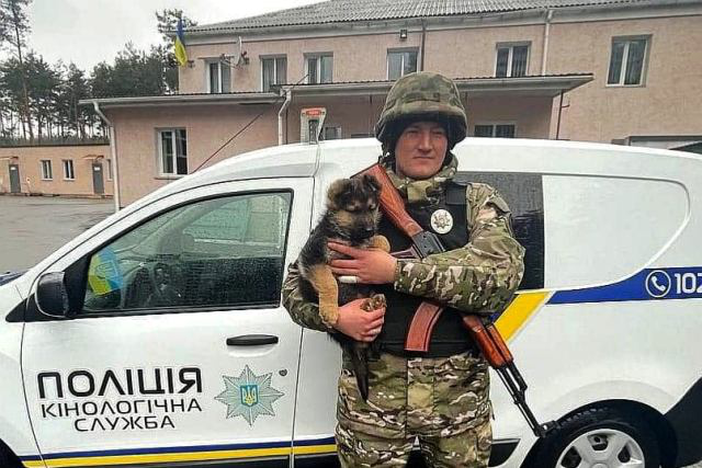 На Київщині чотирилапий Байрактар попереджає про початок обстрілів