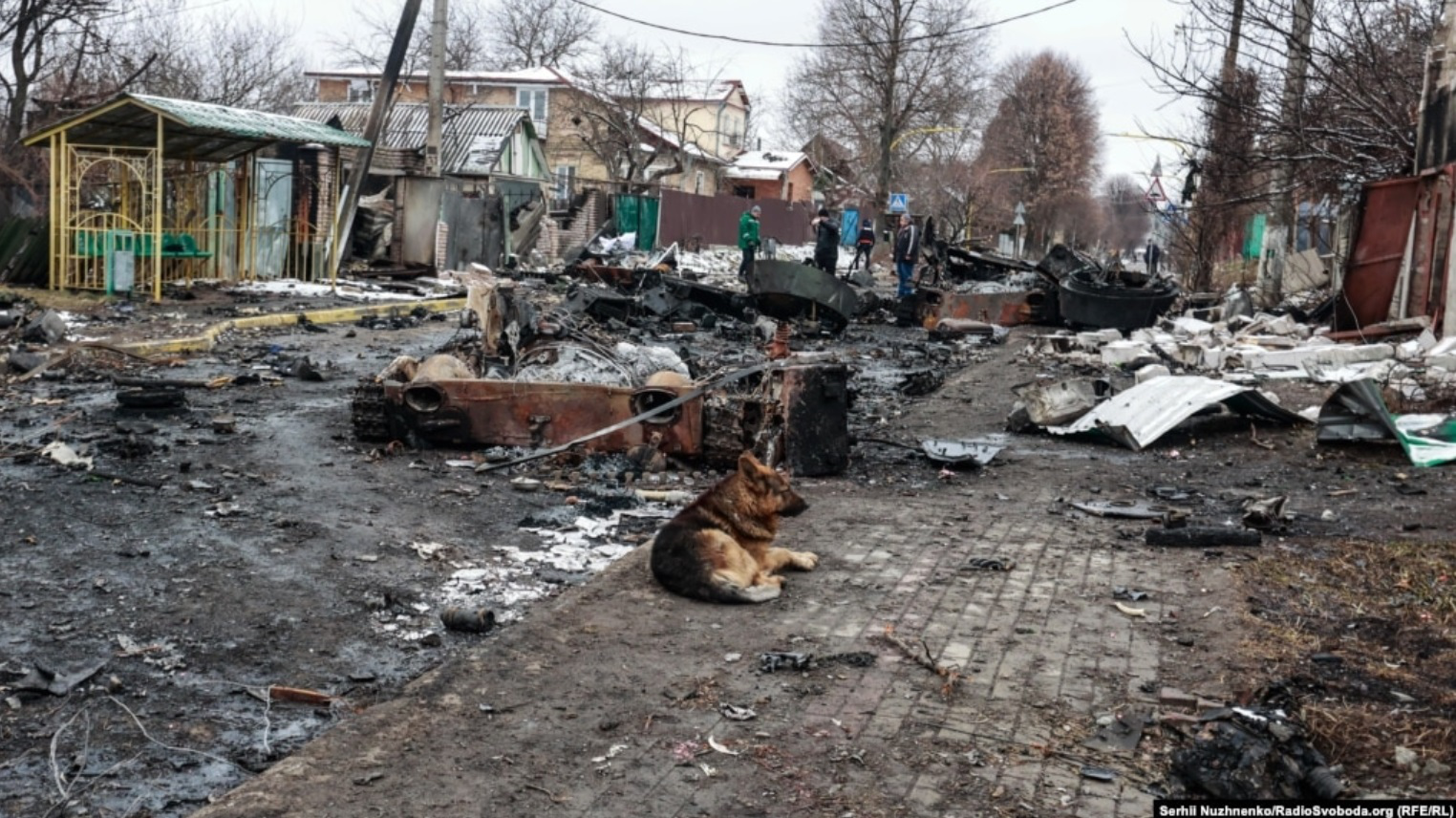 Собаки розтягують тіла загиблих: мер Бучі розповів про ситуацію в місті
