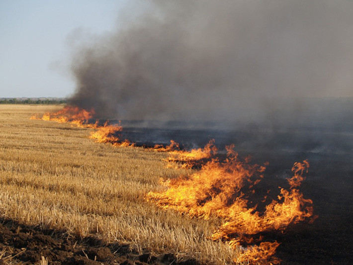 На Волині за добу сталося 11 пожеж: горіла суха трава