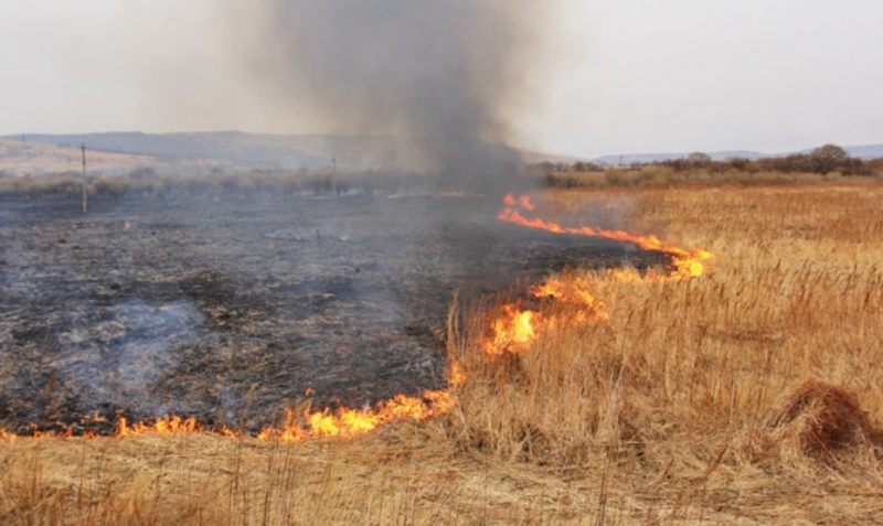 На Волині почастішали випадки лісових пожеж, – Олександр Кватирко