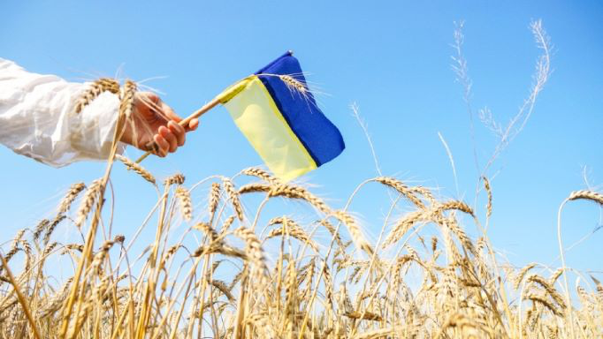 93% українців вважають, що Україна відіб’є напад РФ (опитування)