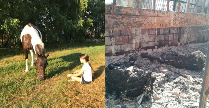 У Гостомелі окупанти спалили стайню (фото)