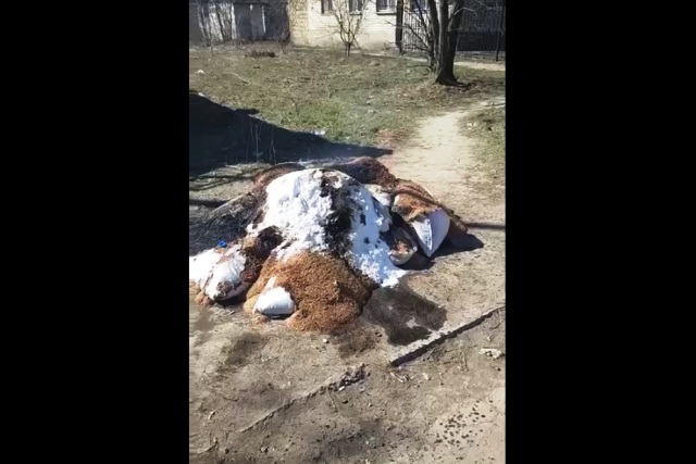 У Чорнобаївці українці спалили гуманітарку від окупантів (відео)