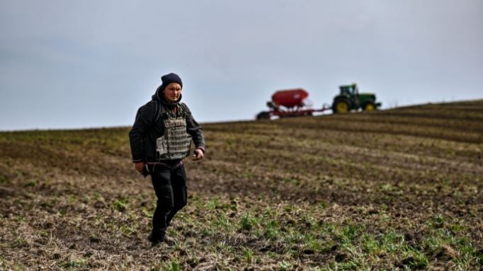 Цьогоріч в Україні планують засіяти 70% посівних площ
