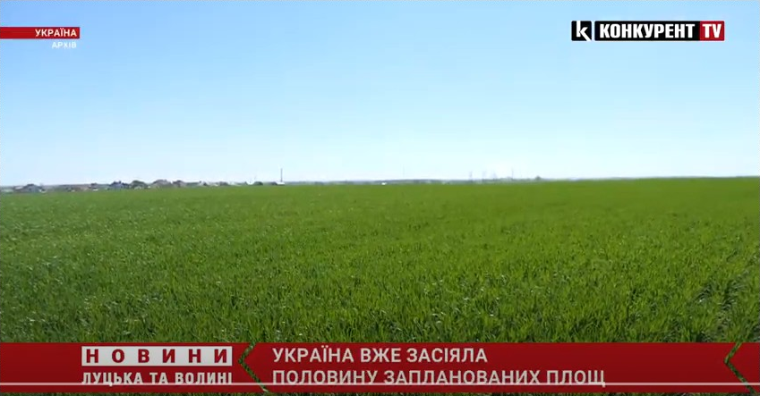 Україна засіяла основними сільськогосподарськими культурами половину запланованих площ (відео)