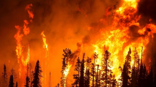 росія палає: лісові пожежі охопили 77 із 83 регіонів (відео)