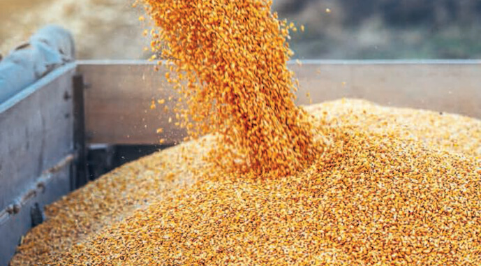 США можуть на пів року скасувати санкцї проти Білорусі заради експорту українського зерна