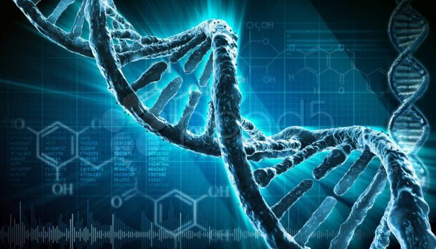 Вчені повністю розшифрували геном людини