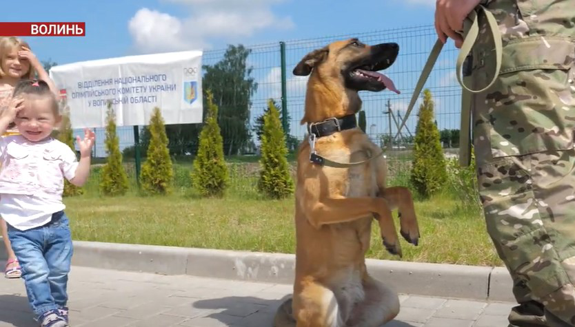 Конкурси, собаки та гарний настрій: біля Луцька провели свято для дітей-переселенців (відео)