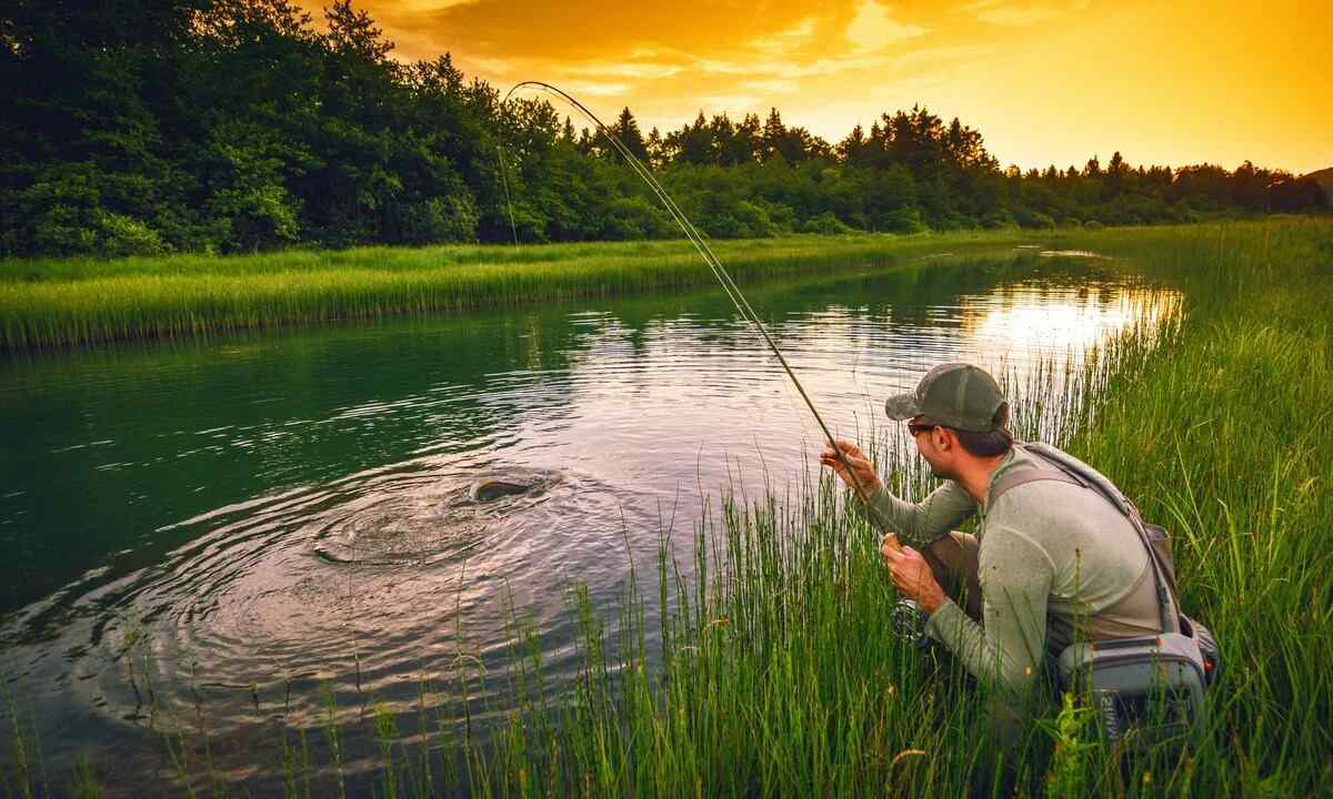 На річках Волині завершилася нерестова заборона – можна рибалити