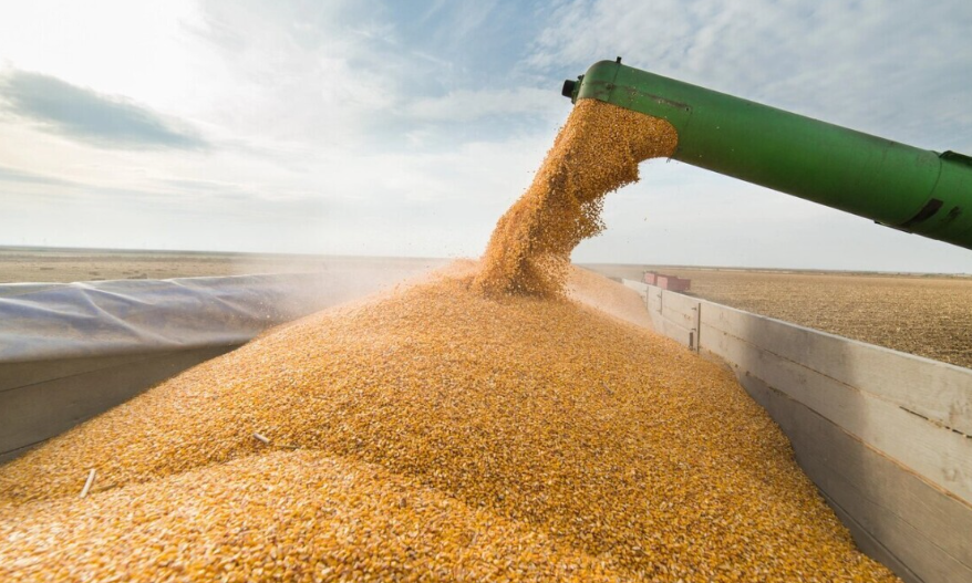 Через Польщу та Румунію: Україна розробила два маршрути для експорту зерна