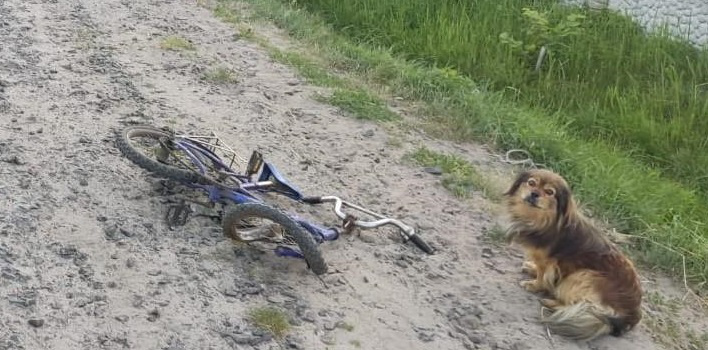 П'яний волинянин на мотоциклі збив на смерть дитину і сховався у лісі (фото,  відео)