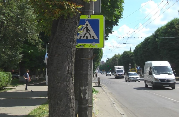 У Луцьку обрізають гілля дерев, щоб не перекривали дорожні знаки (відео)