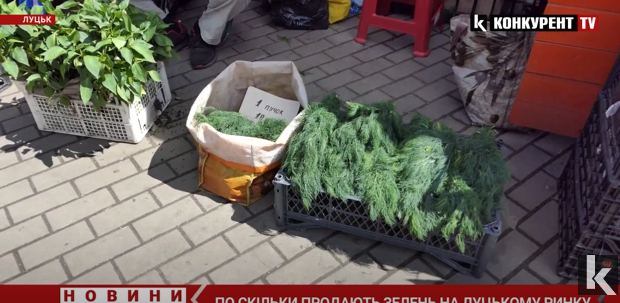 Салат, рукола, цибулька і шпинат: які ціни на зелень на луцькому ринку (відео)