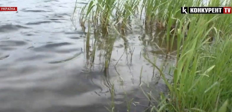 На Ковельщині у ставку потонув 53-річний волинянин (відео)