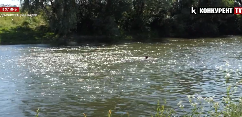 У ставку в Луцькому районі потонув пенсіонер (відео)