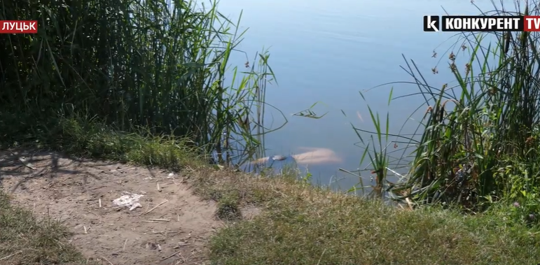У Луцьку в Теремнівському ставку знайшли тіло чоловіка (відео)