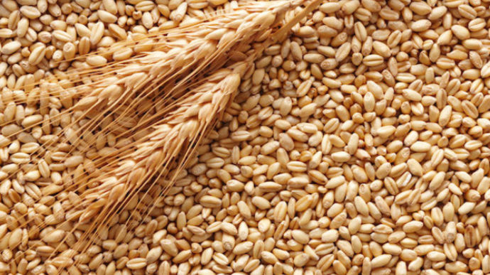 Грузія зупинила продаж зерна на експорт