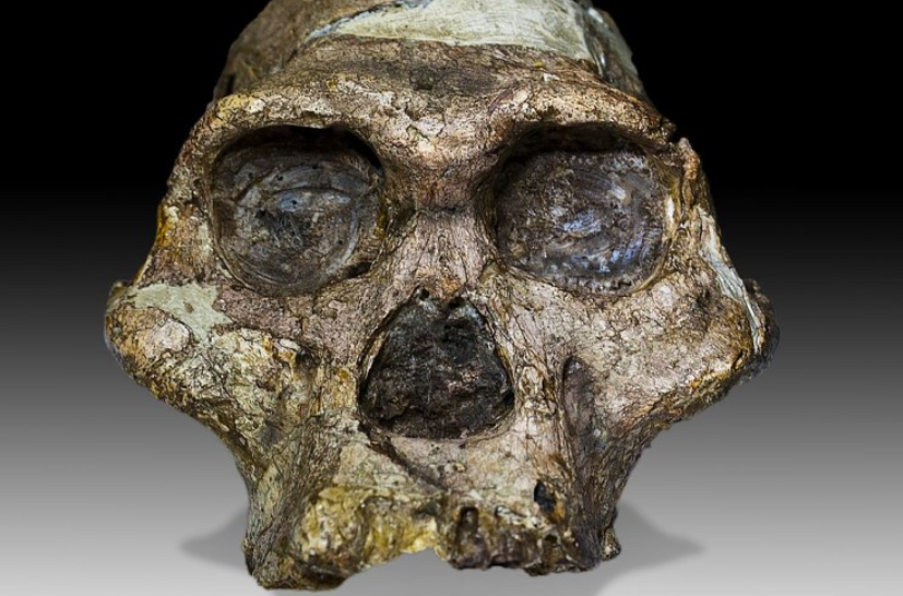У Африці виявили, що предки сучасних людей жили на 1 млн років раніше, ніж вважалося