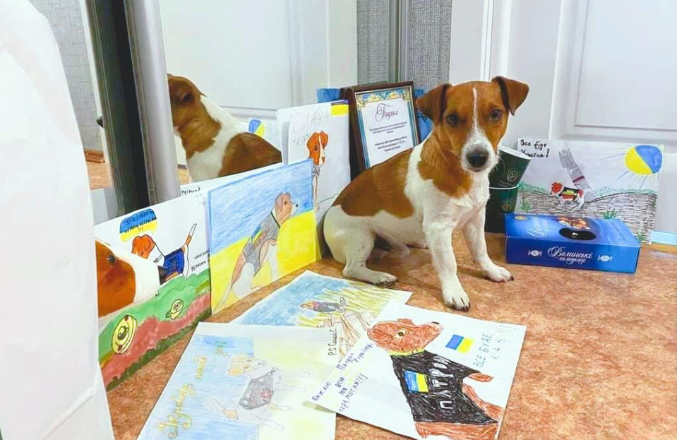 Підгайцівська громада передала посилку псові Патрону (фото)