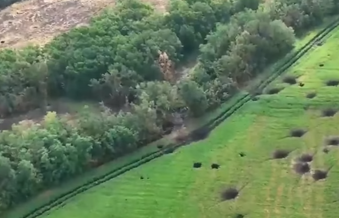 Контррозвідники показали, як знищують дронами росіян (відео)
