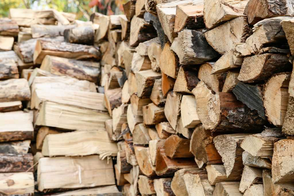 Волинські лісівники готують дрова до зими: кому і як їх роздаватимуть