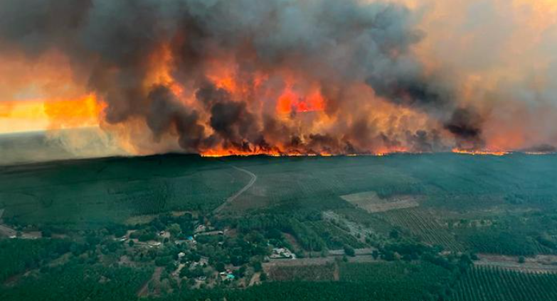 У Європі через спеку вигоріла рекордна кількість лісу – 660 тисяч гектарів