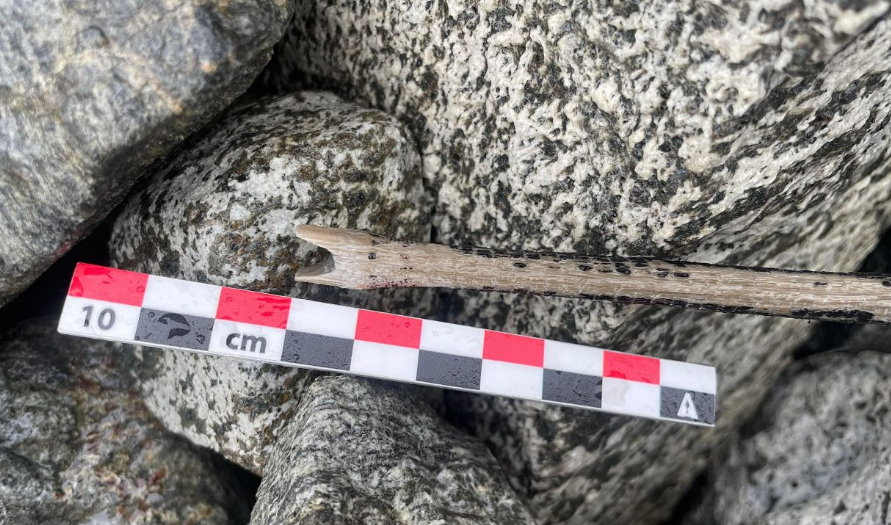 У норвезьких льодовиках вчені відшукали стародавню стрілу