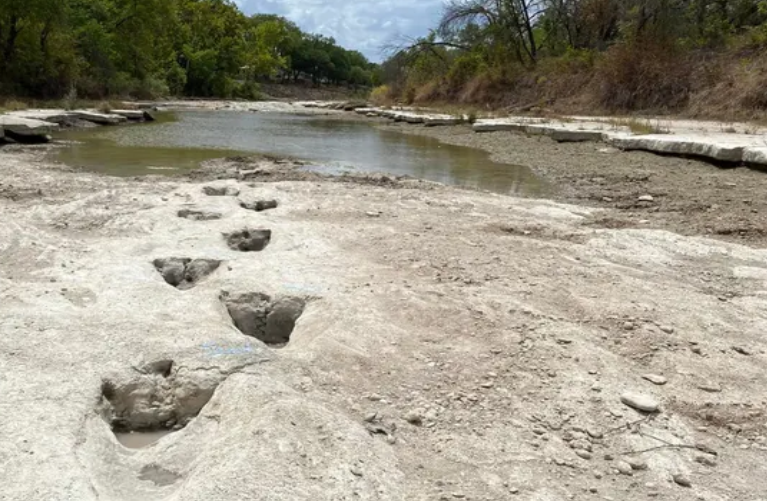 У Техасі на дні річки знайшли сліди динозаврів, яким понад 100 млн років
