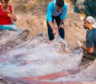 У Португалії знайшли рештки гігантського динозавра віком 150 мільйонів років
