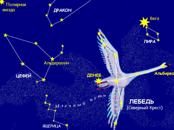 Телескоп Джеймса Вебба зобразив подвійну зірку в сузір'ї Лебедя