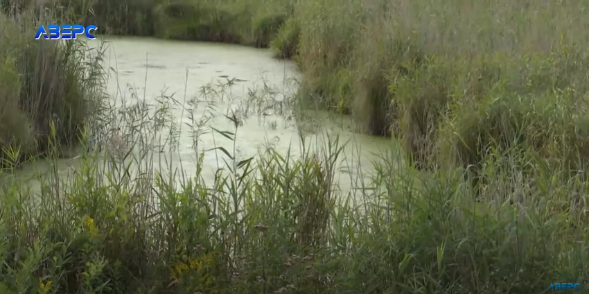 «Золоте» болото: волинянин відсудив 18 мільйонів за яму і кілька стовпів (відео)