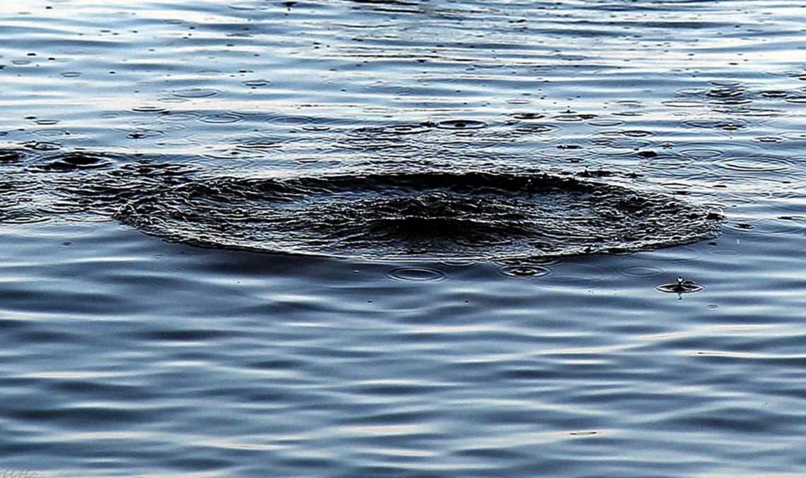 У Луцькому районі в озері потонув 60-річний чоловік (відео)
