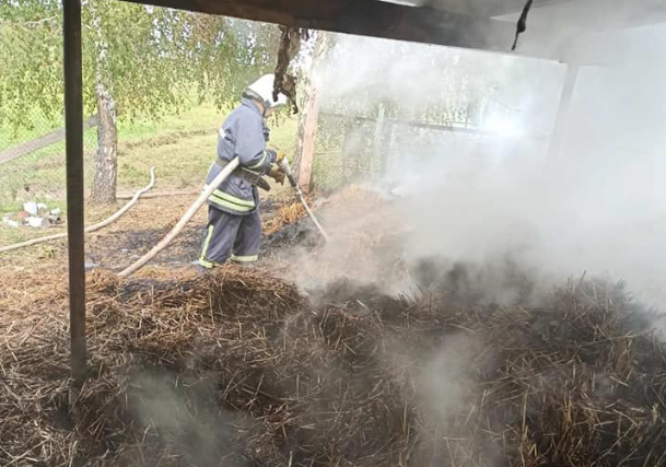 Пожежа в Луцькому районі: згоріло пів тонни сіна (фото, відео)
