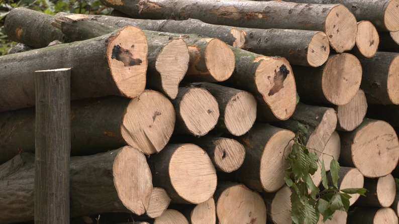 Заготівля дров та електрообігрівачі: як волиняни готуються до зими (відео)