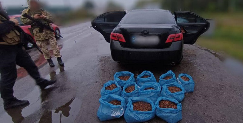 У Маневичах на блокпості зупинили «запаковану» бурштином «тойоту» (фото, відео)