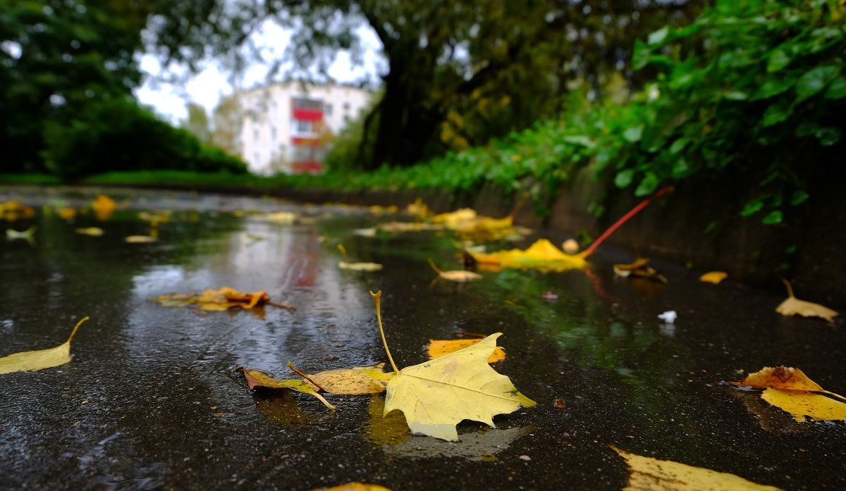 Тепліше, але знову дощ: погода в Луцьку на п'ятницю, 30 вересня