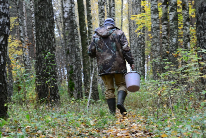 На Ківерцівщині лісівники знайшли заблукалих грибників