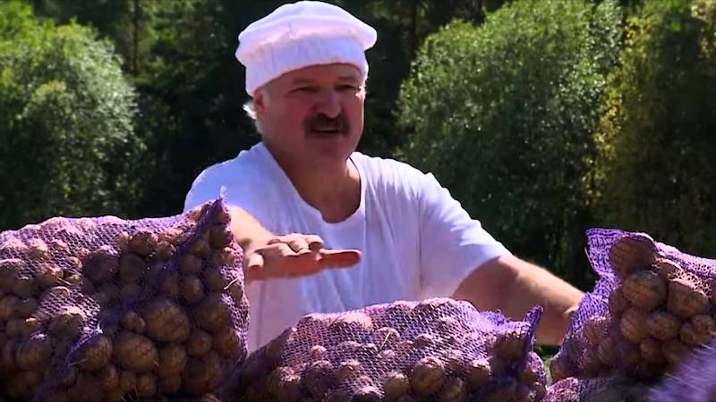 Лукашенко оголосив мобілізацію для збору врожаю