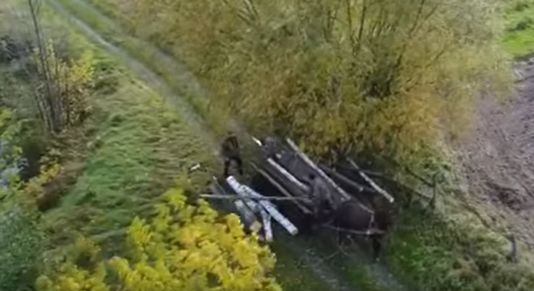 На Ківерцівщині за допомогою дрона зловили крадіїв лісу (відео)